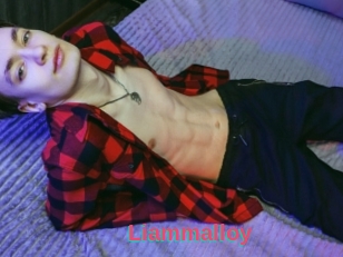 Liammalloy