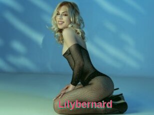 Lilybernard