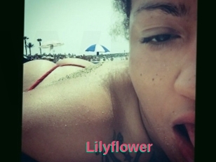 Lilyflower