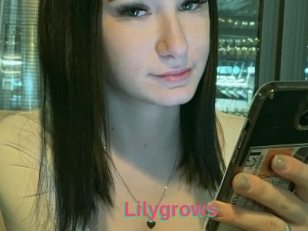 Lilygrows