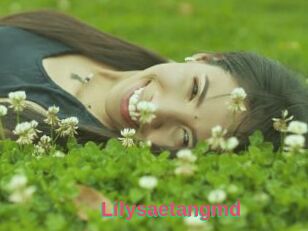Lilysaetangmd
