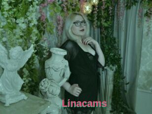 Linacams