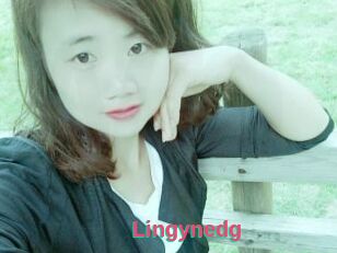 Lingynedg