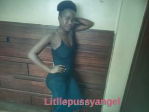 Litllepussyangel