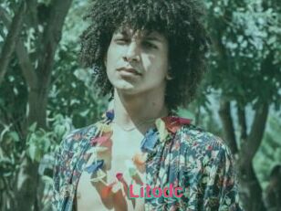 Litodc