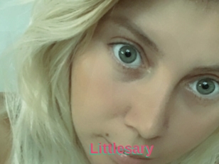 Littlesary