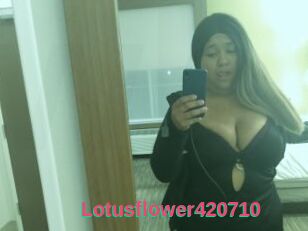 Lotusflower420710