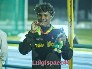 Luigispaez44