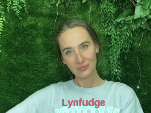 Lynfudge
