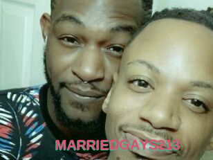 MARRIEDGAYS213