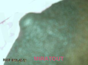 MIRATOUT