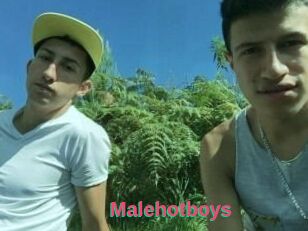 Malehotboys