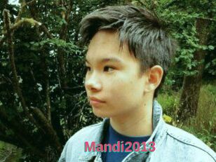 Mandi2013