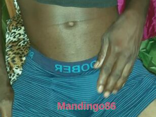 Mandingo86