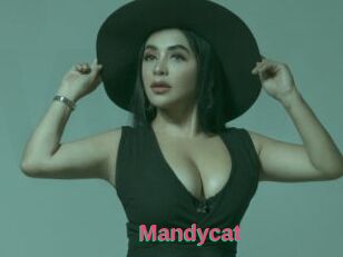 Mandycat