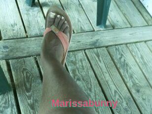 Marissabunny