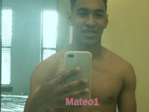 Mateo1