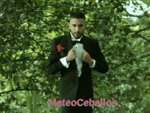 MateoCeballos