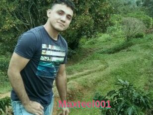 Maxteel001