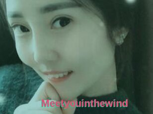 Meetyouinthewind