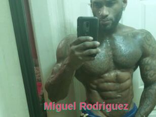 Miguel_Rodriguez