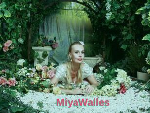 MiyaWalles