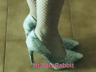 Mr3MrsRabbit