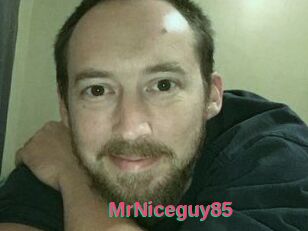 MrNiceguy85