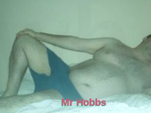 Mr_Hobbs