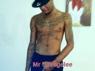 Mr_Savagelee