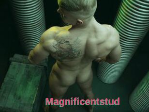Magnificentstud