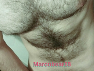 Marcobear18
