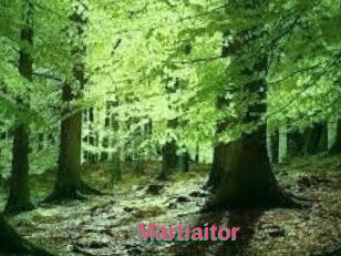 Martiaitor