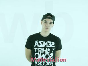 Mattestallion