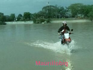 Maurillobig