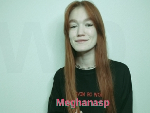 Meghanasp