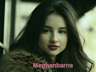 Meghanbarns