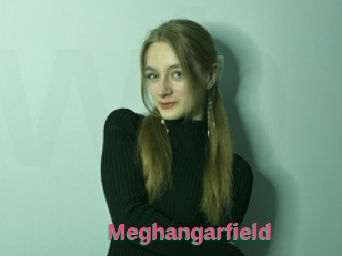 Meghangarfield