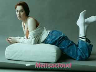 Melisacloud