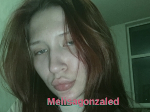 Melisagonzaled