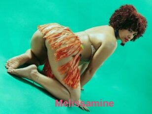 Melissamine