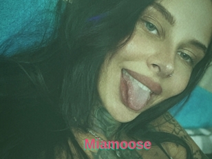 Miamoose