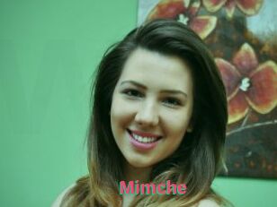 Mimche