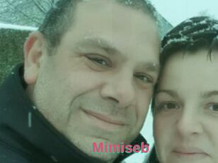 Mimiseb