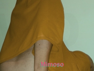 Mimoso