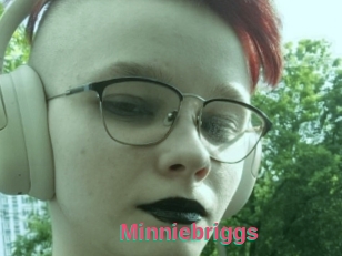 Minniebriggs