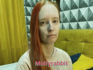 Mollyrabbit