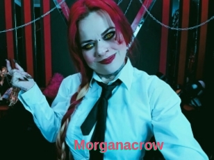 Morganacrow