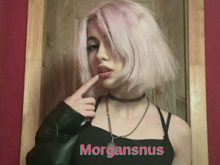 Morgansnus