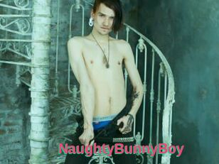 NaughtyBunnyBoy
